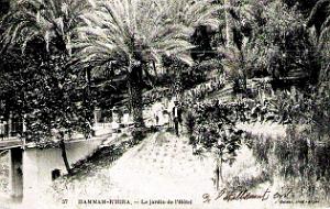 Hammam-R'Hira - Hotel - Jardin